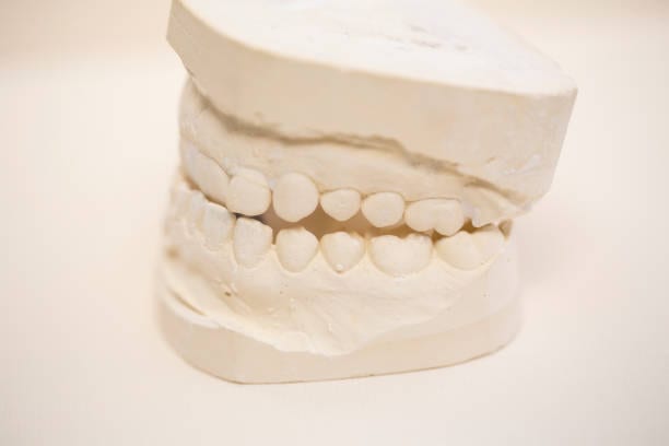 Gregory S. Rutherford, DDS, PA, photo 2