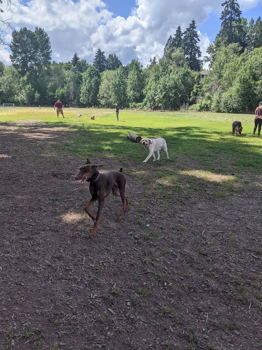 North Clackamas Park Complex & Ball Fields, photo 2