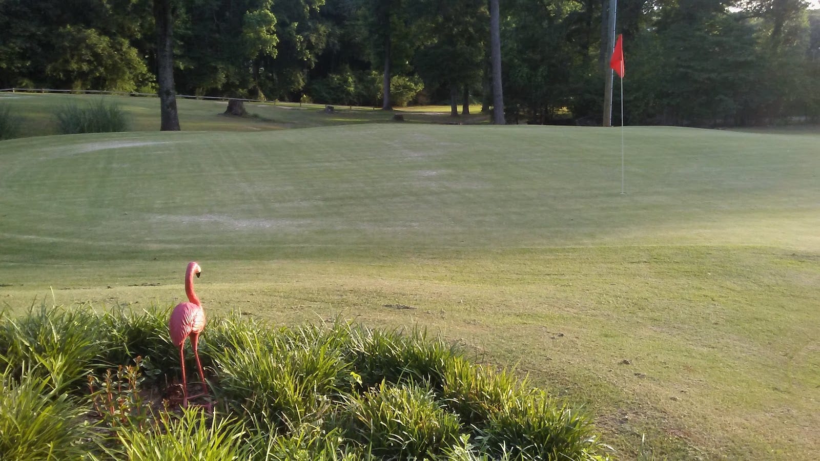 The Bel Short Course, photo 4