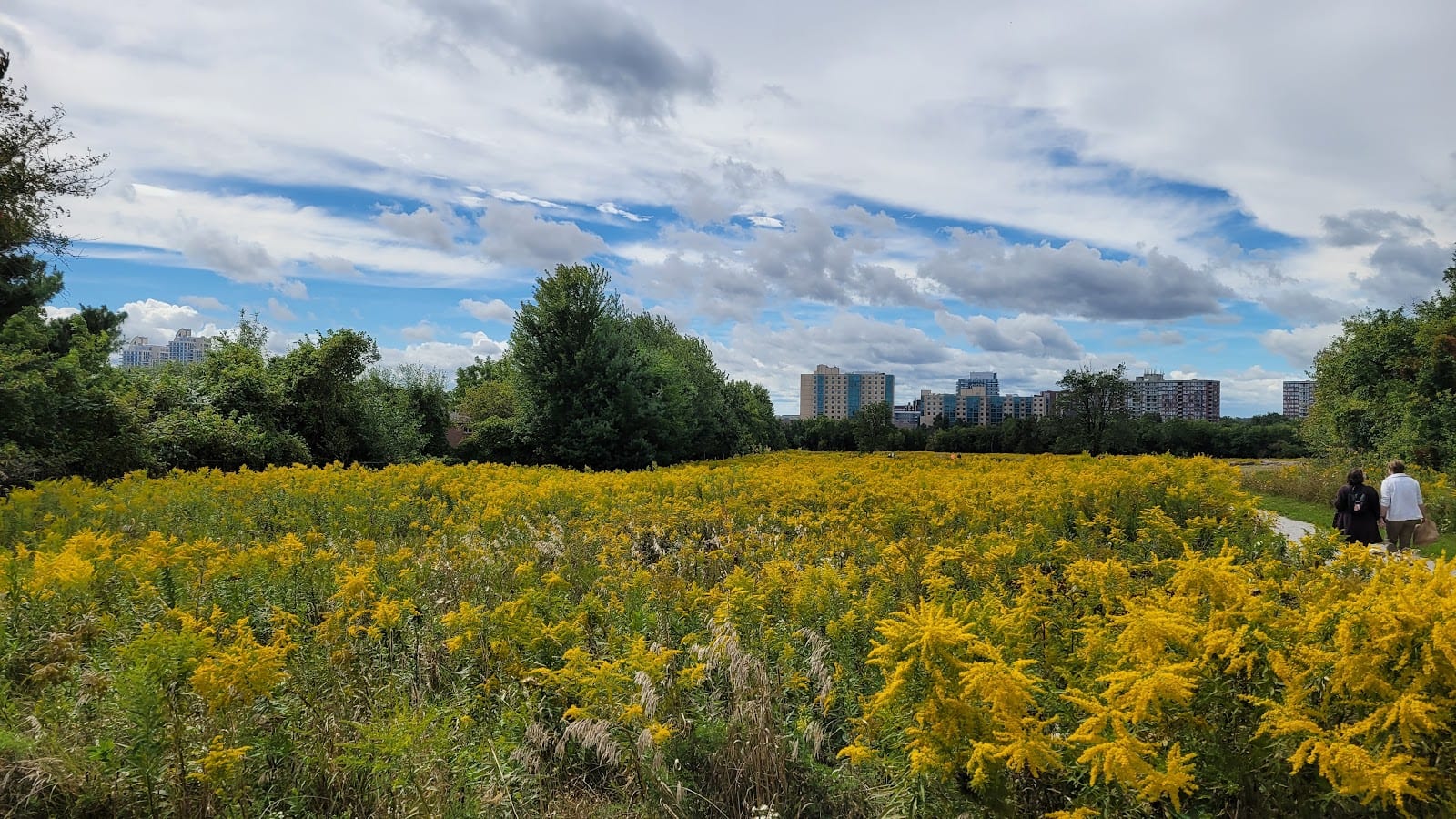 Observatory Hill
