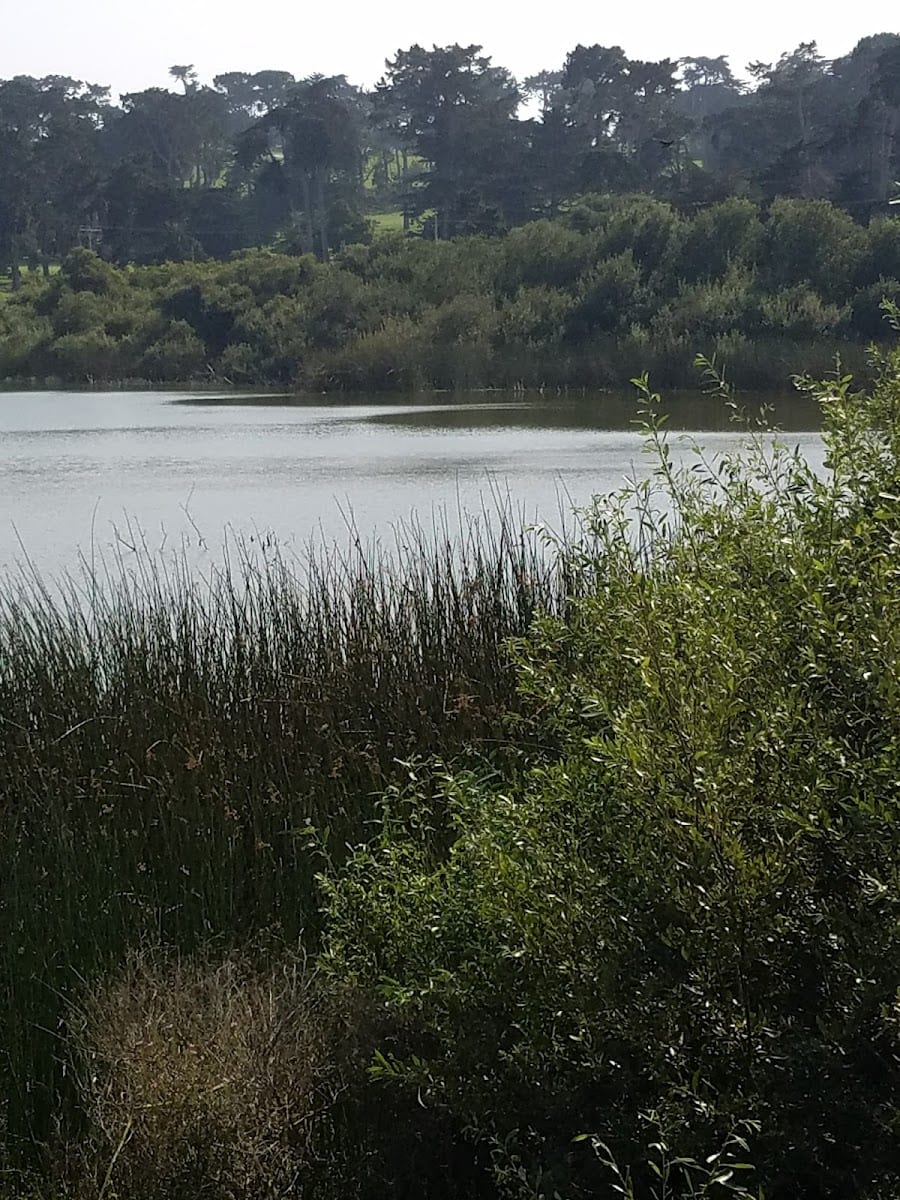 The Olympic Club, photo 2