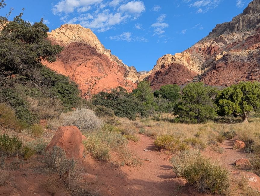 Red Rock Canyon Hikes Near Las Vegas: Four Trails to Match Your Day