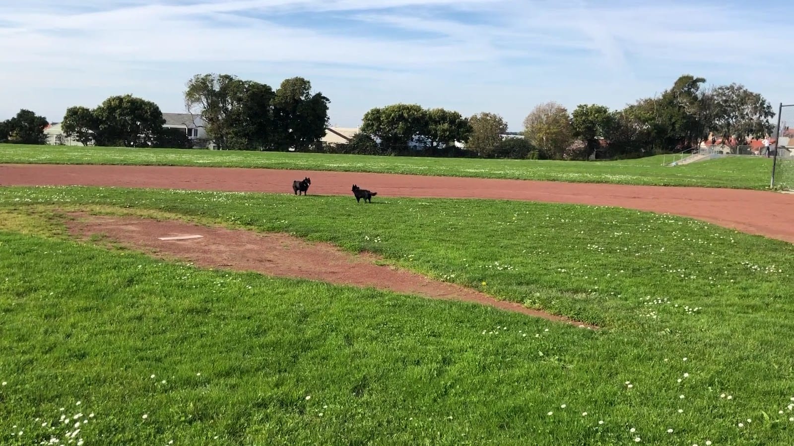Aptos Park, photo 2