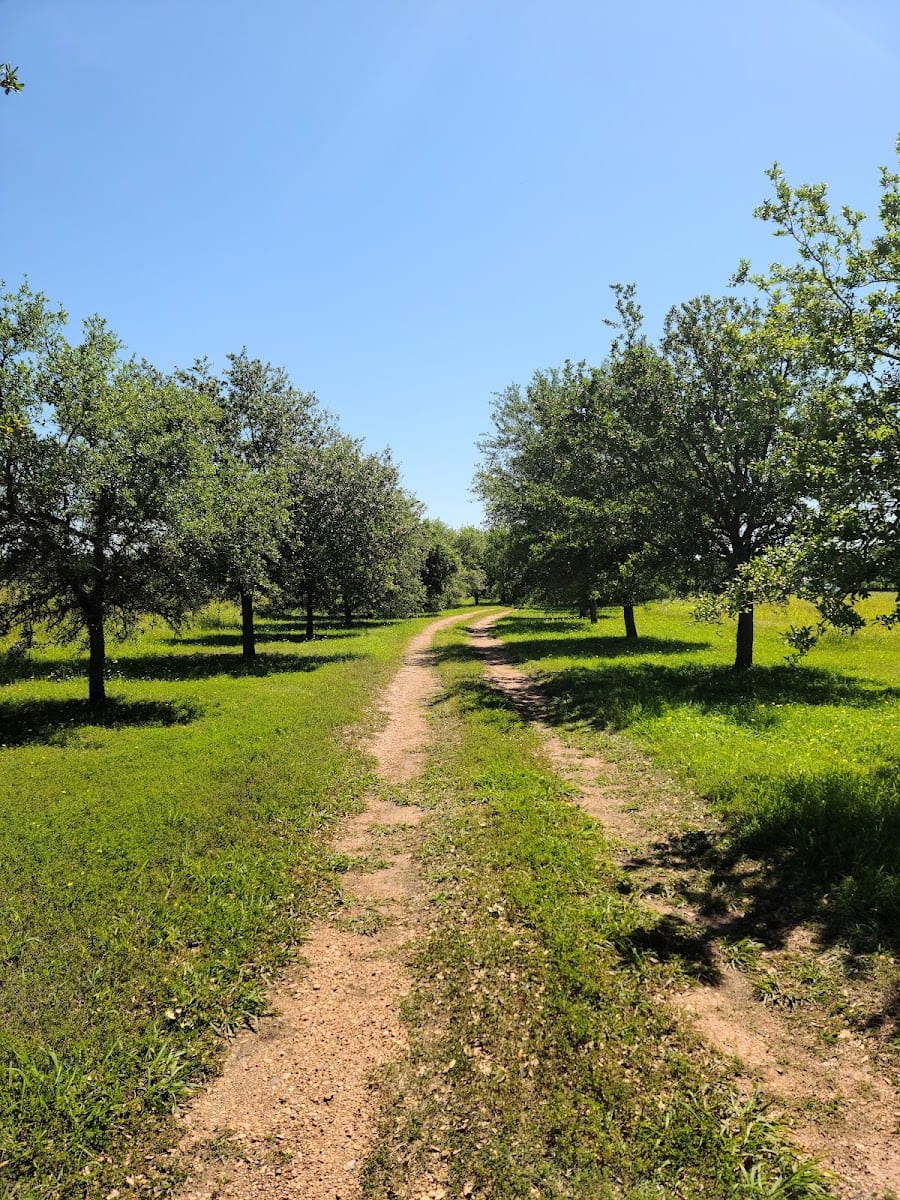 Sendero Arbor Care
