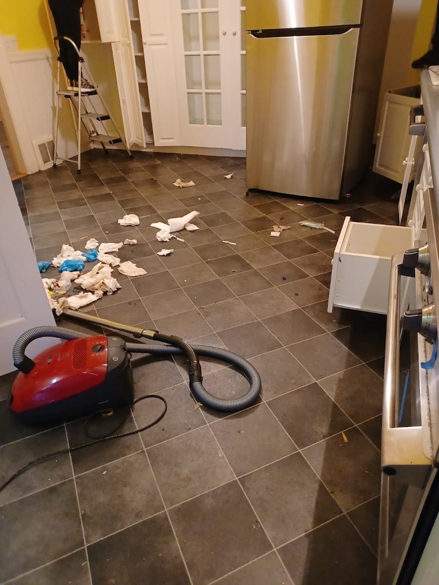 Thelmas house cleaning services, photo 2