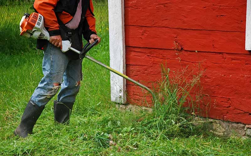Hector Landscaping & Lawn Services