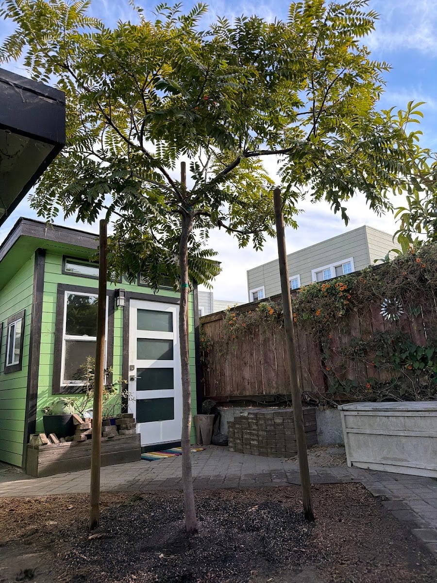 Bartlett Tree Experts