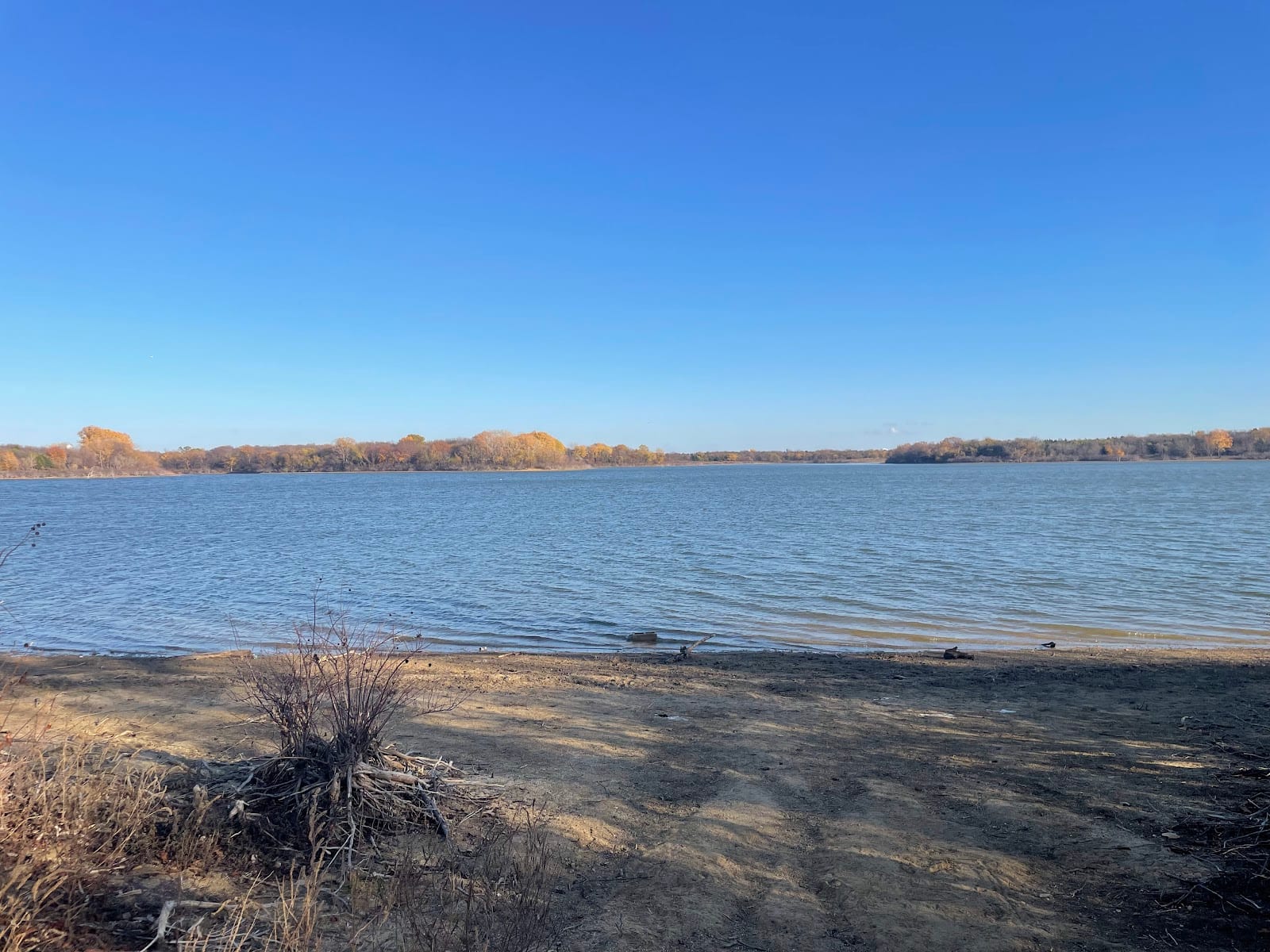 Cottonwood Park Nature Trail, photo 2