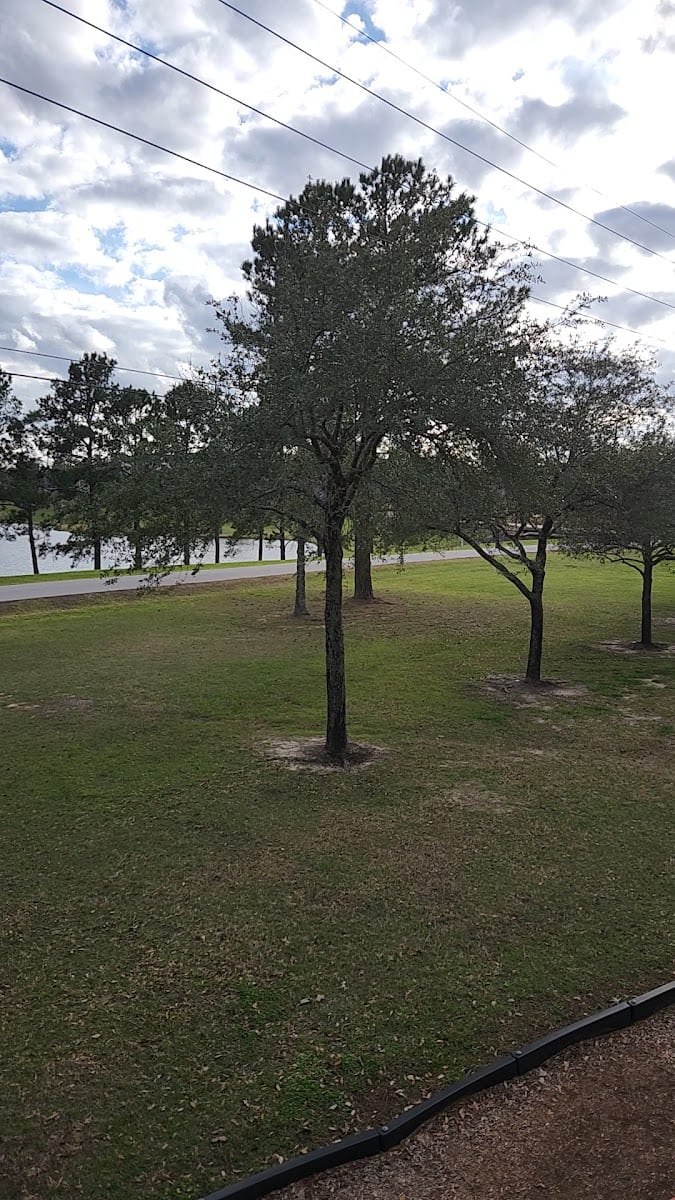 Northwood Pines Park, photo 2