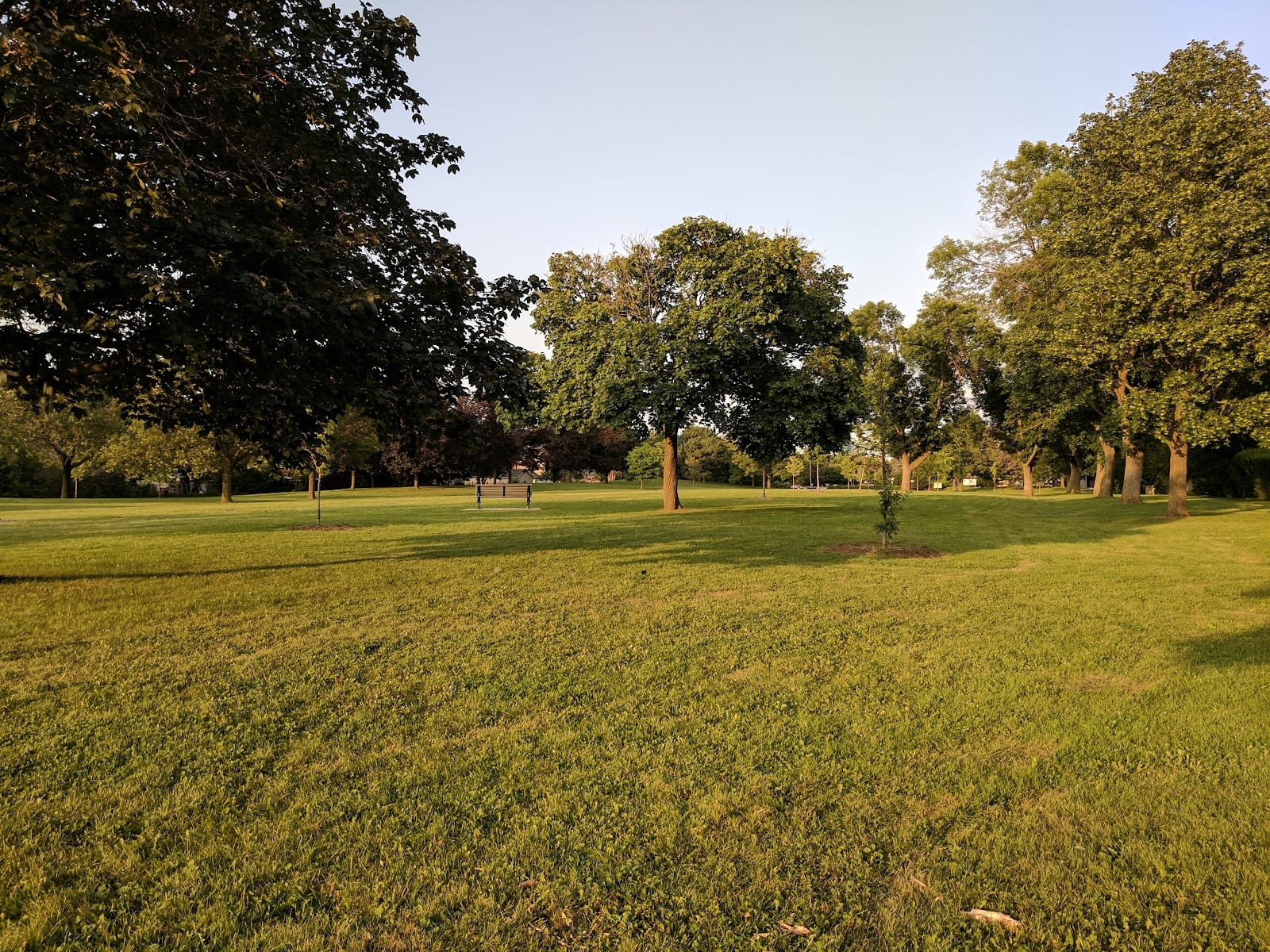Ellison Park