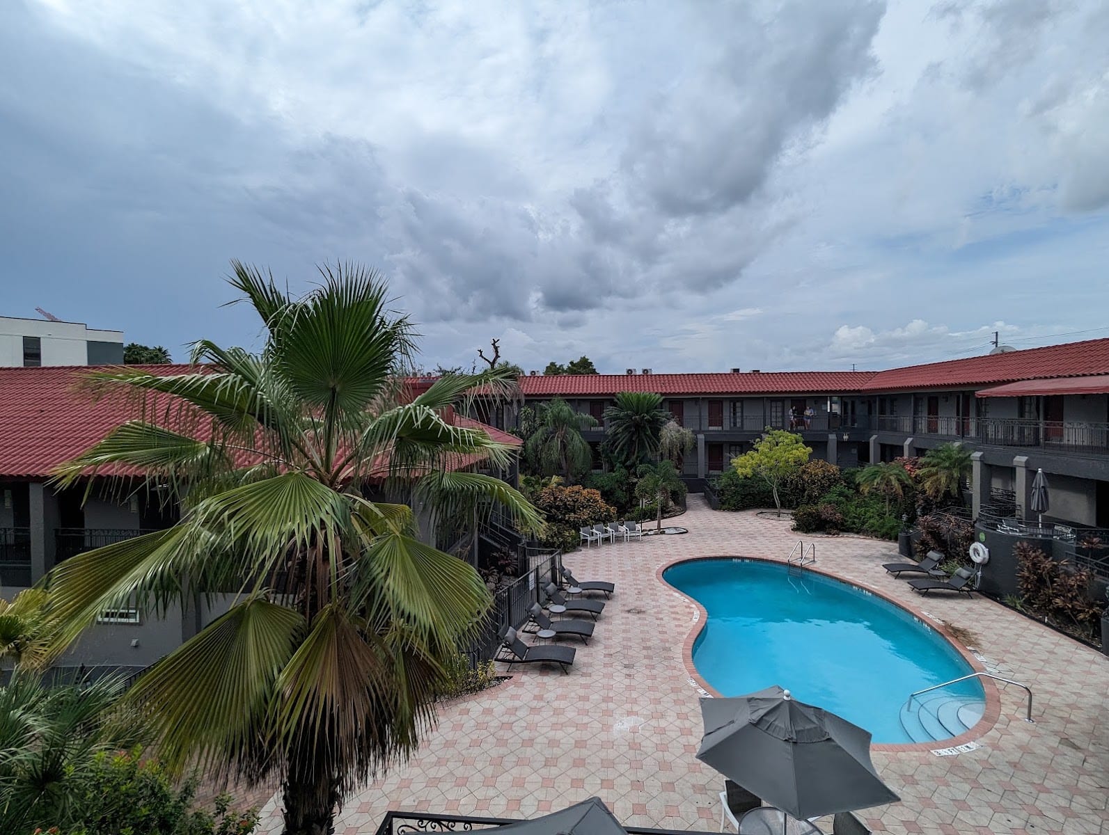 Red Roof PLUS+ & Suites Tampa - Busch Gardens, photo 3