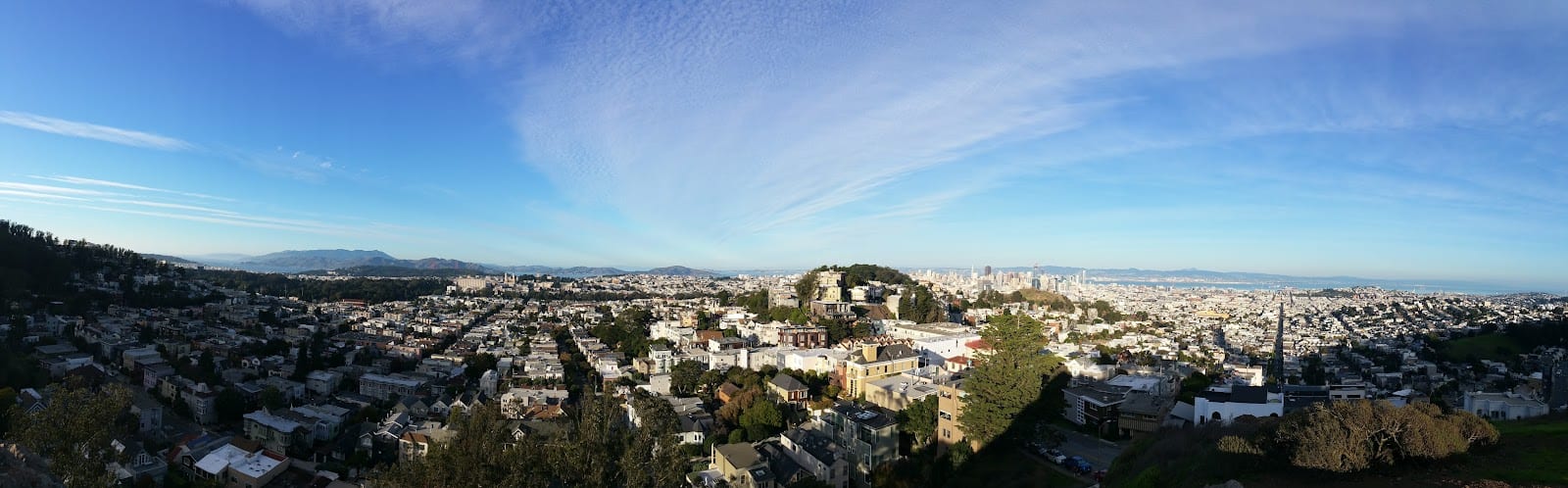 Alex Kaufman - San Francisco Real Estate Broker, photo 2