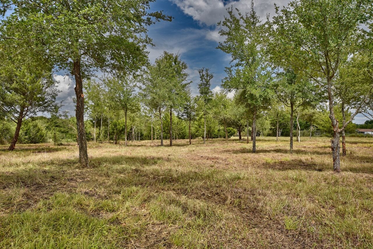 Lauren M Cox Realtor - Landmark Properties, photo 3