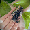The Nail Spa Scottsdale- Denise