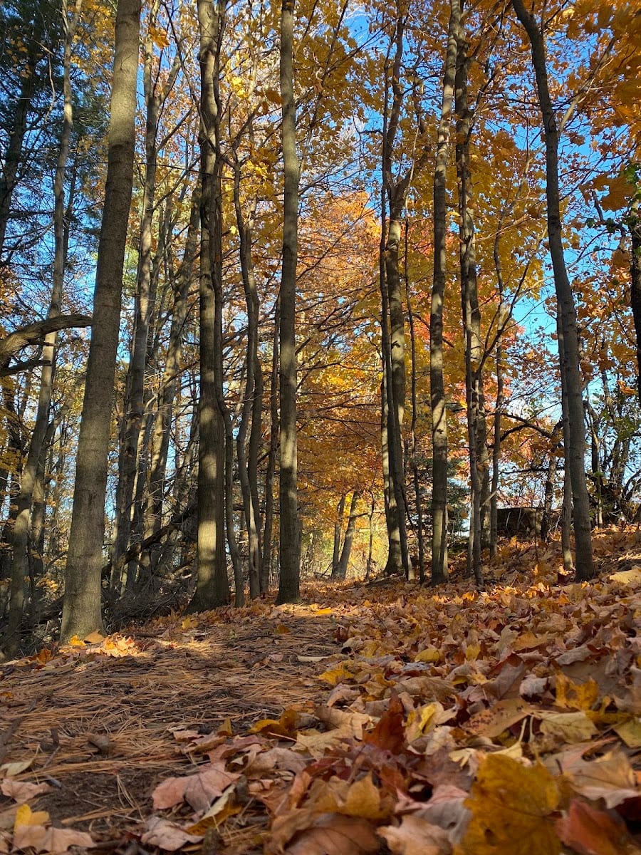 Rocking Horse Ranch Park, photo 2