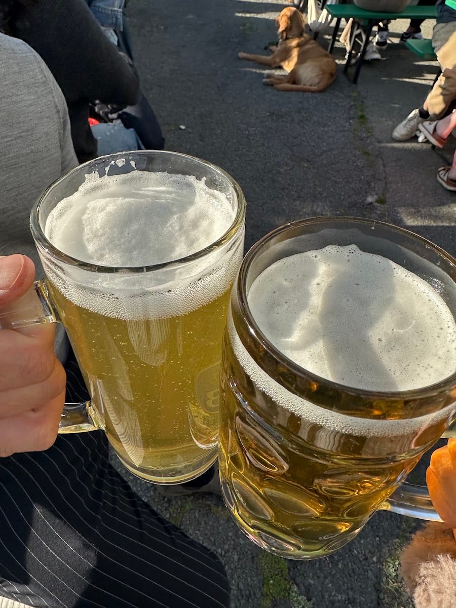 Biergarten, photo 4