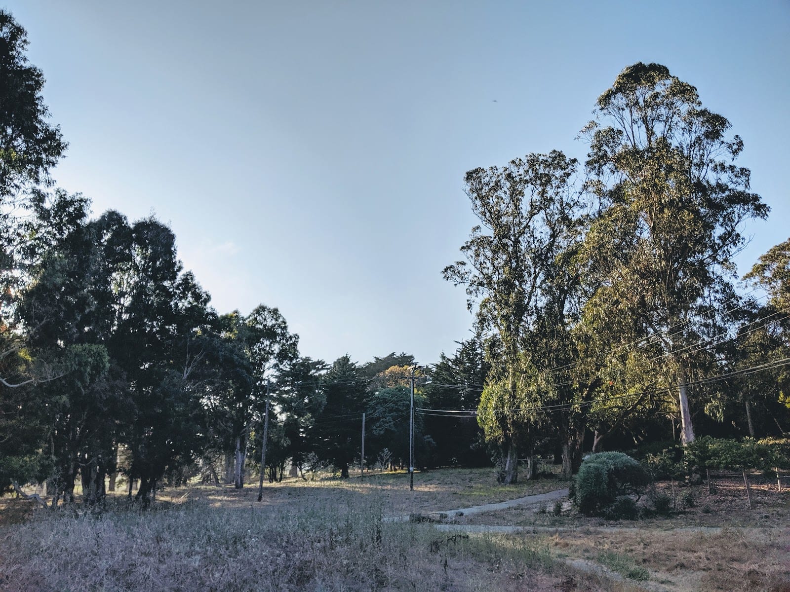 McLaren Park Dog Play Area