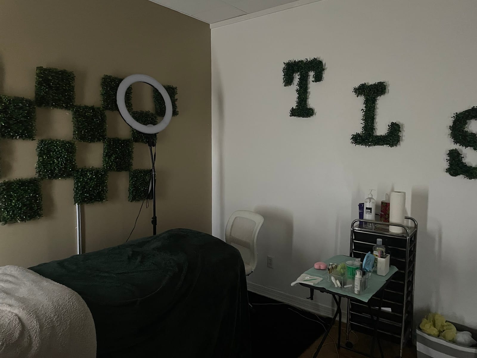 Theluxesuite, photo 2