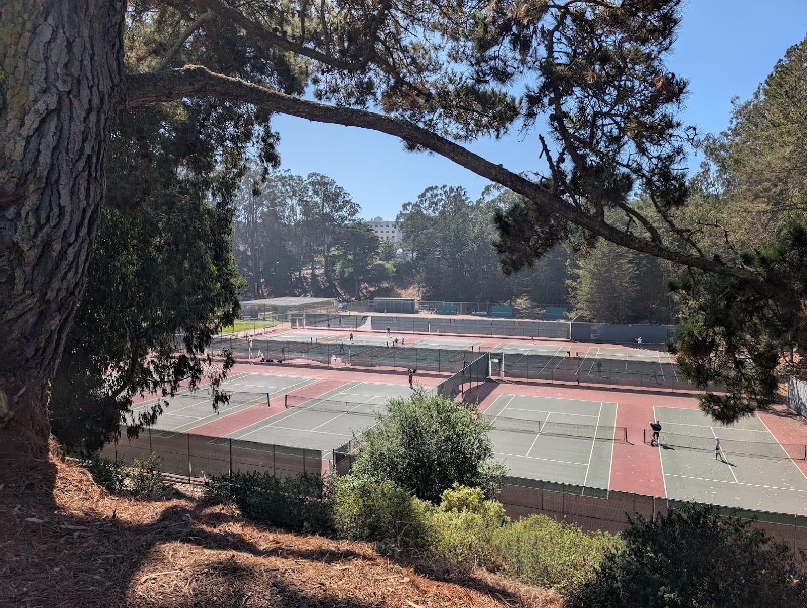 Tenacious Tennis Academy
