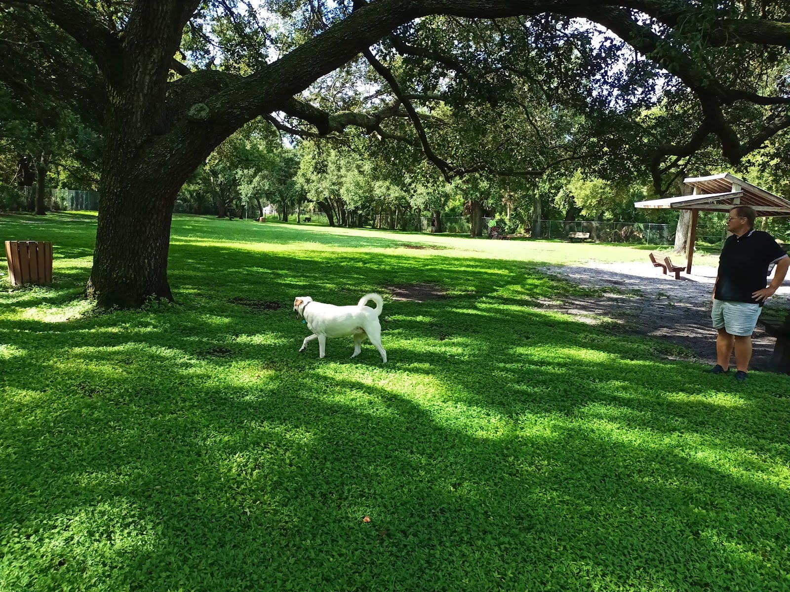 Woodmere Dog Park