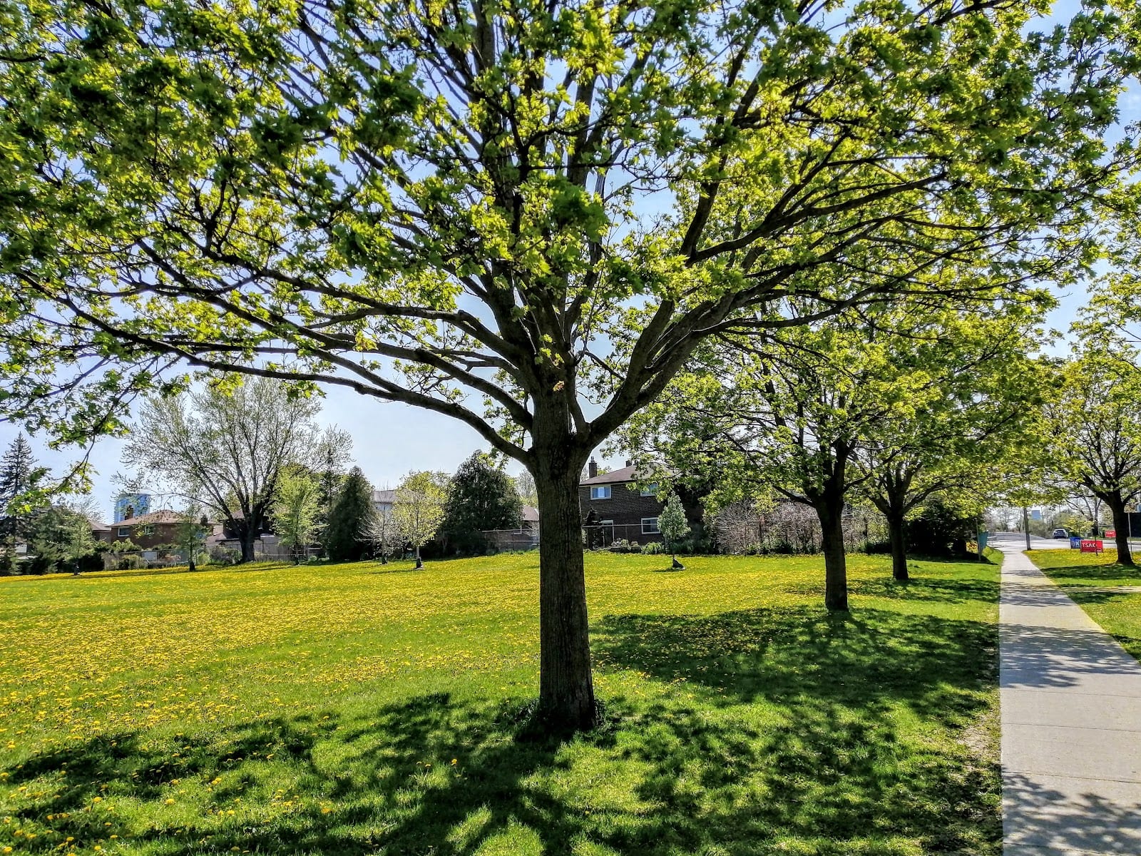 Van Horne Park