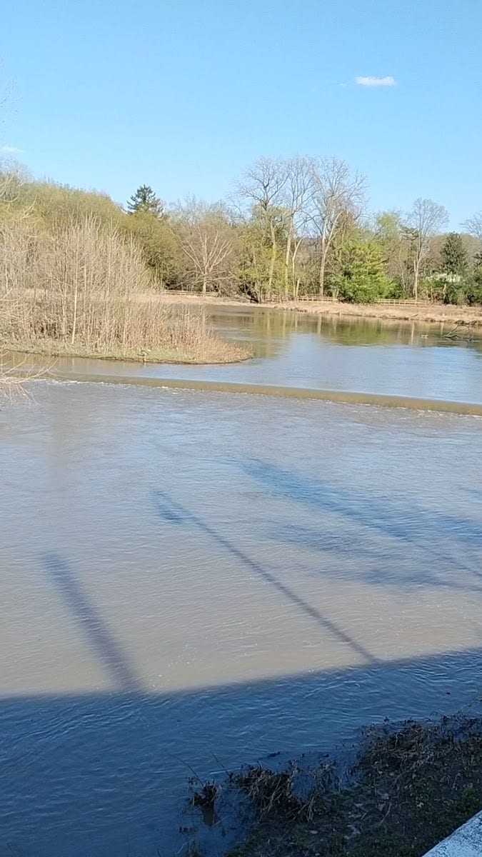 Killbuck Wetlands, photo 2