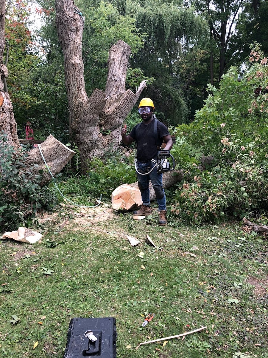 Chosen Landscaping, photo 3