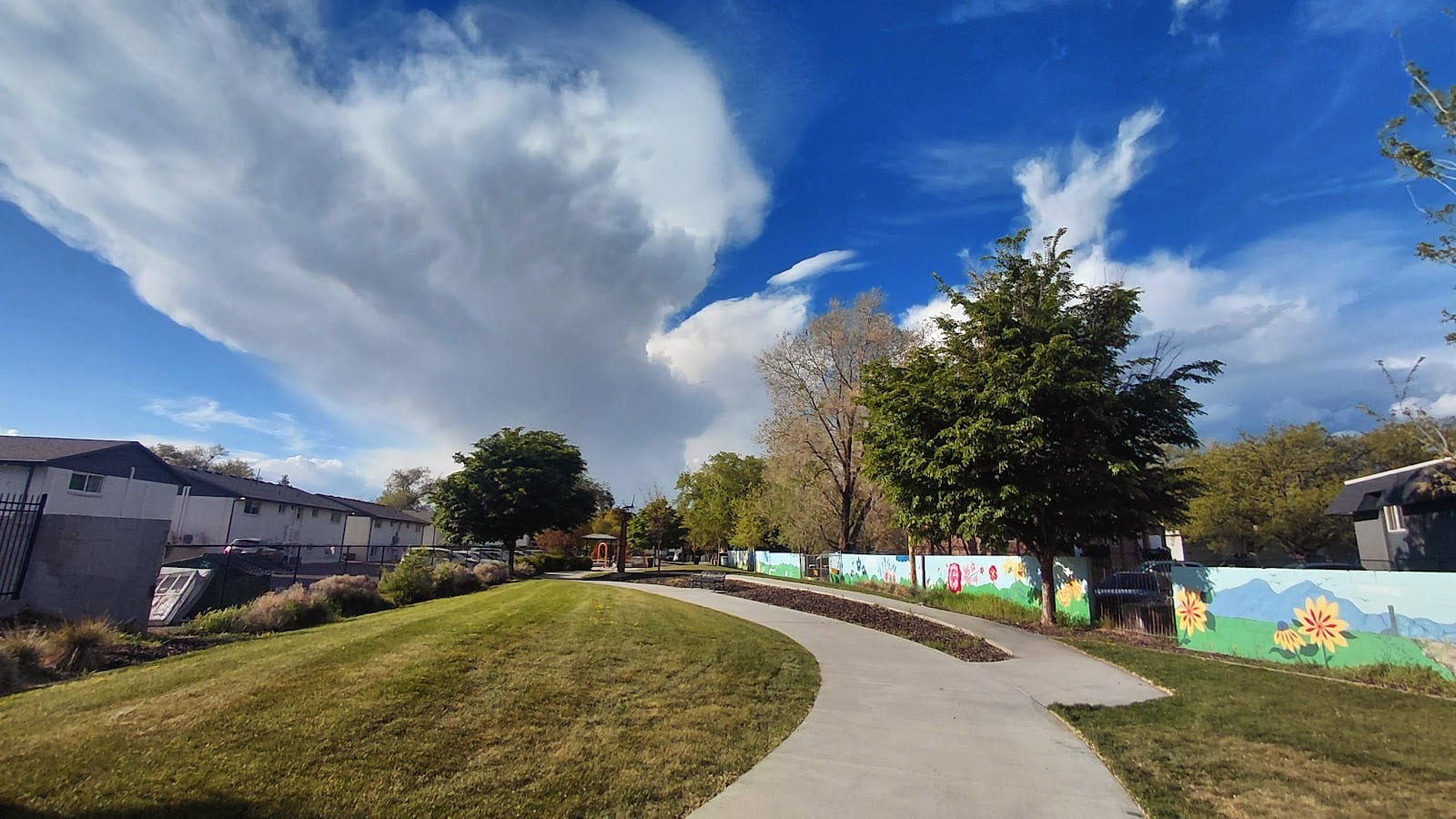 Redwood Meadows Park, photo 2