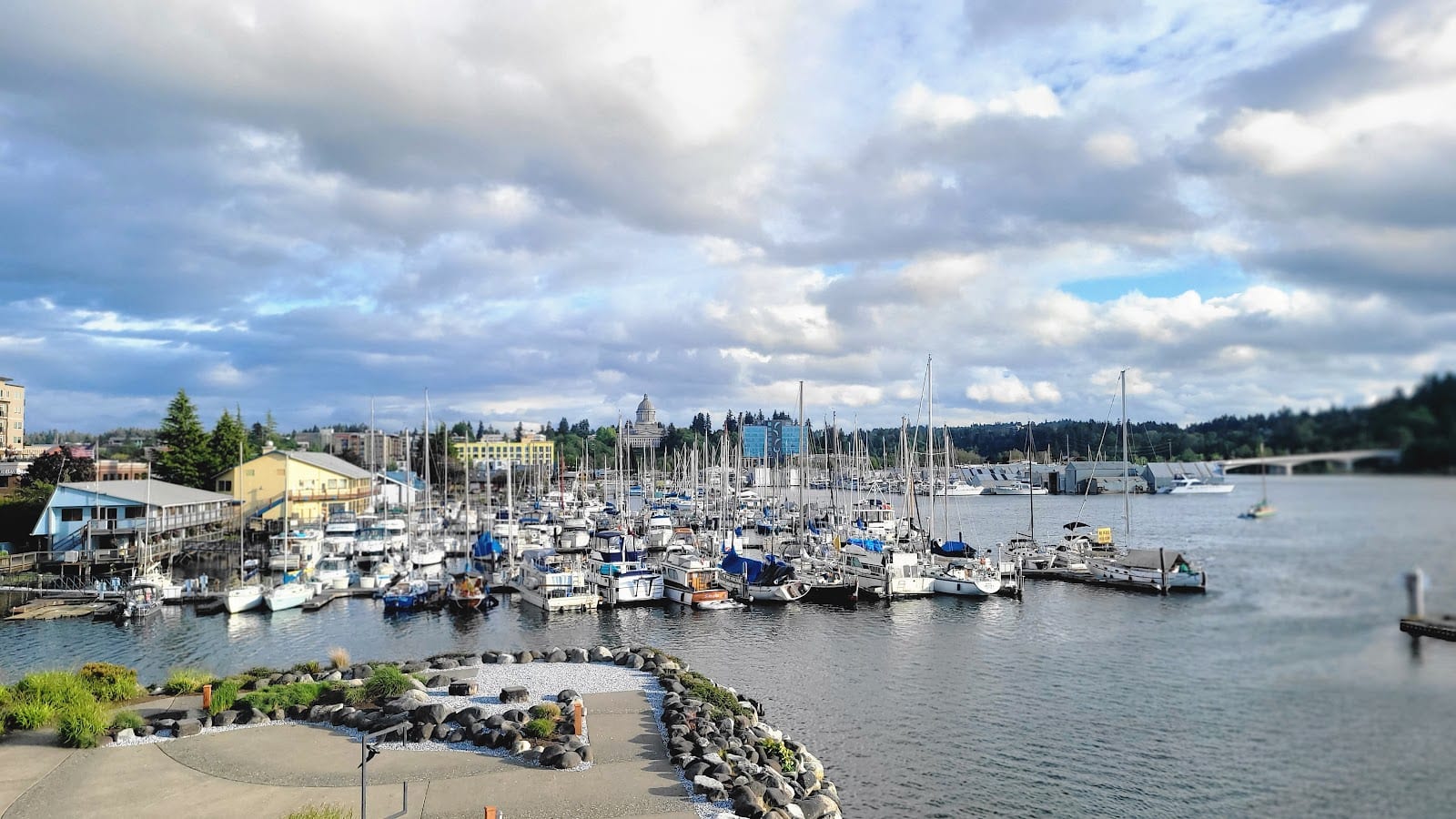 Percival Landing Park
