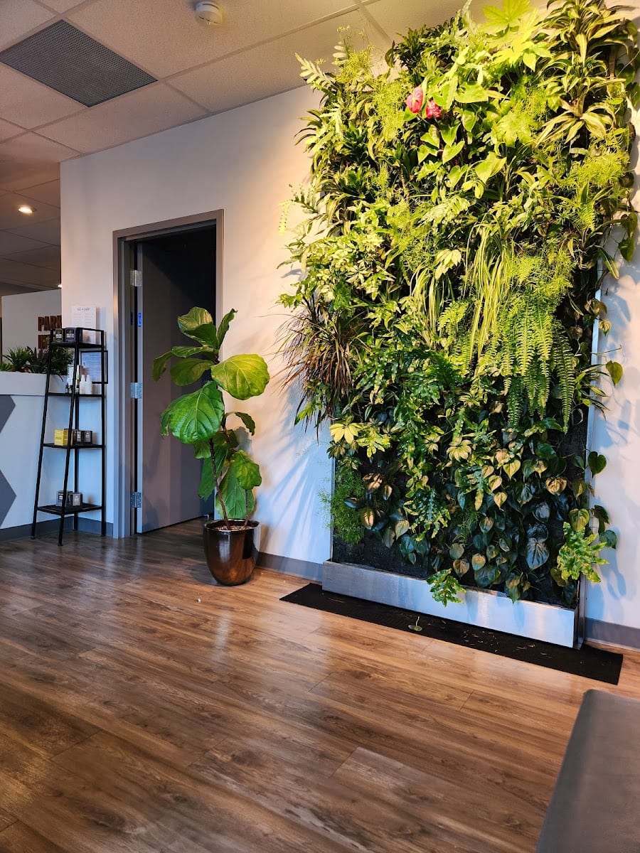 Park Integrative Health, photo 4