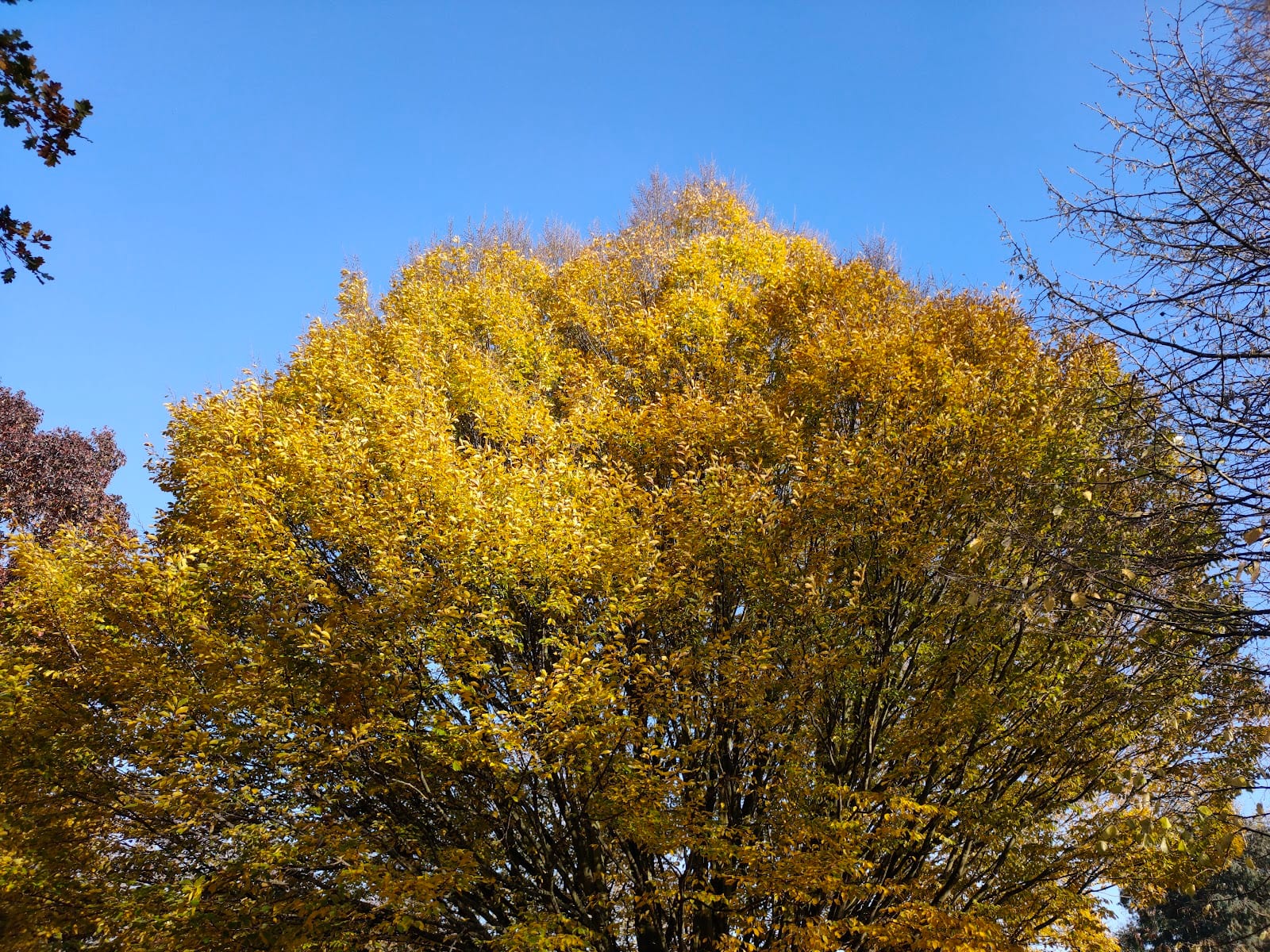 Waterloo Park Car Park, photo 2