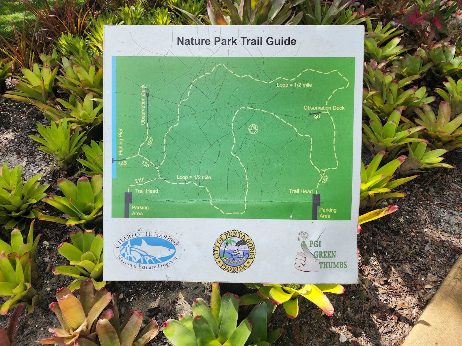 Punta Gorda Nature Park, photo 3