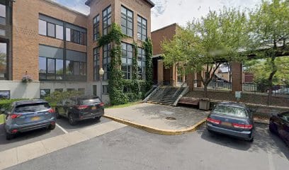 Henry Street Frog Park