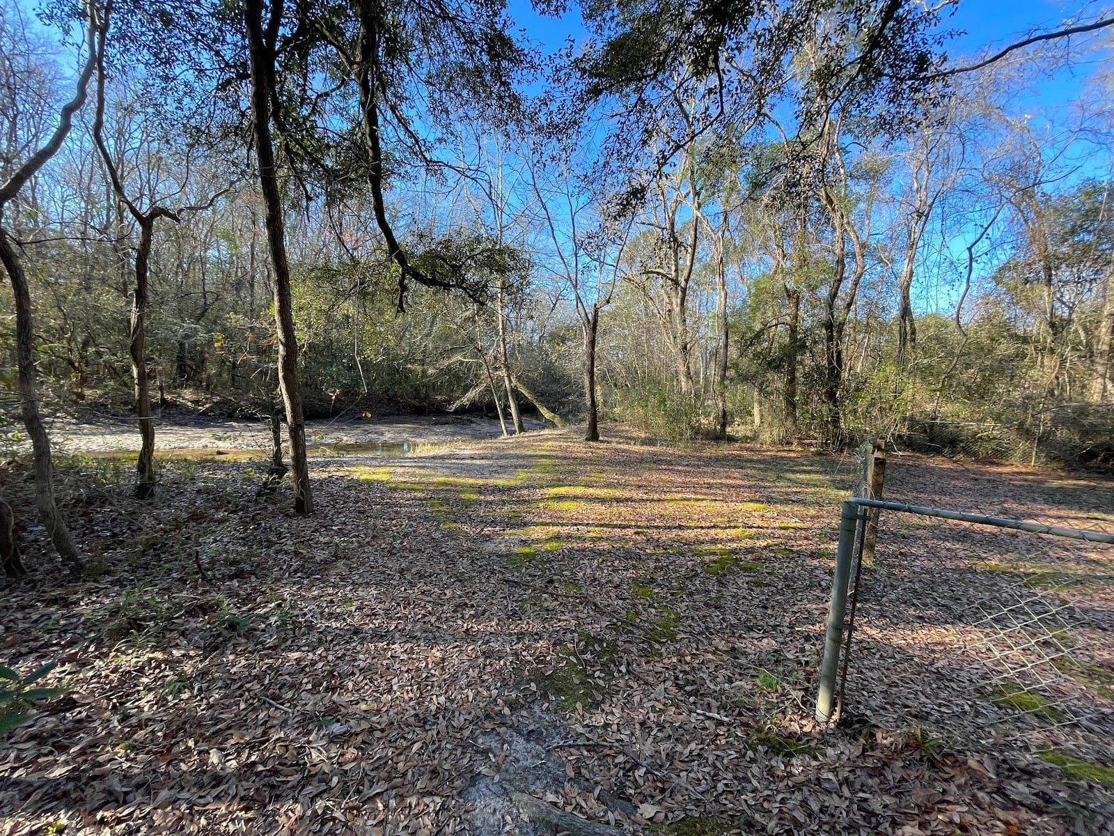 Lillian Ave Park