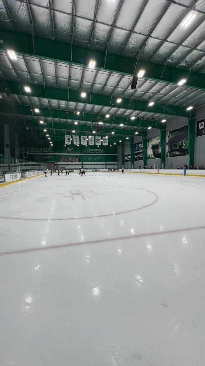Comerica Center