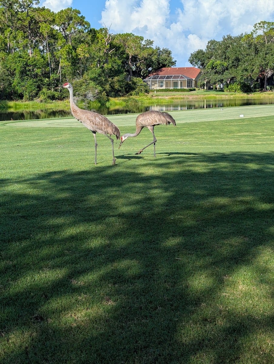 Stoneybrook Golf & Country Clb