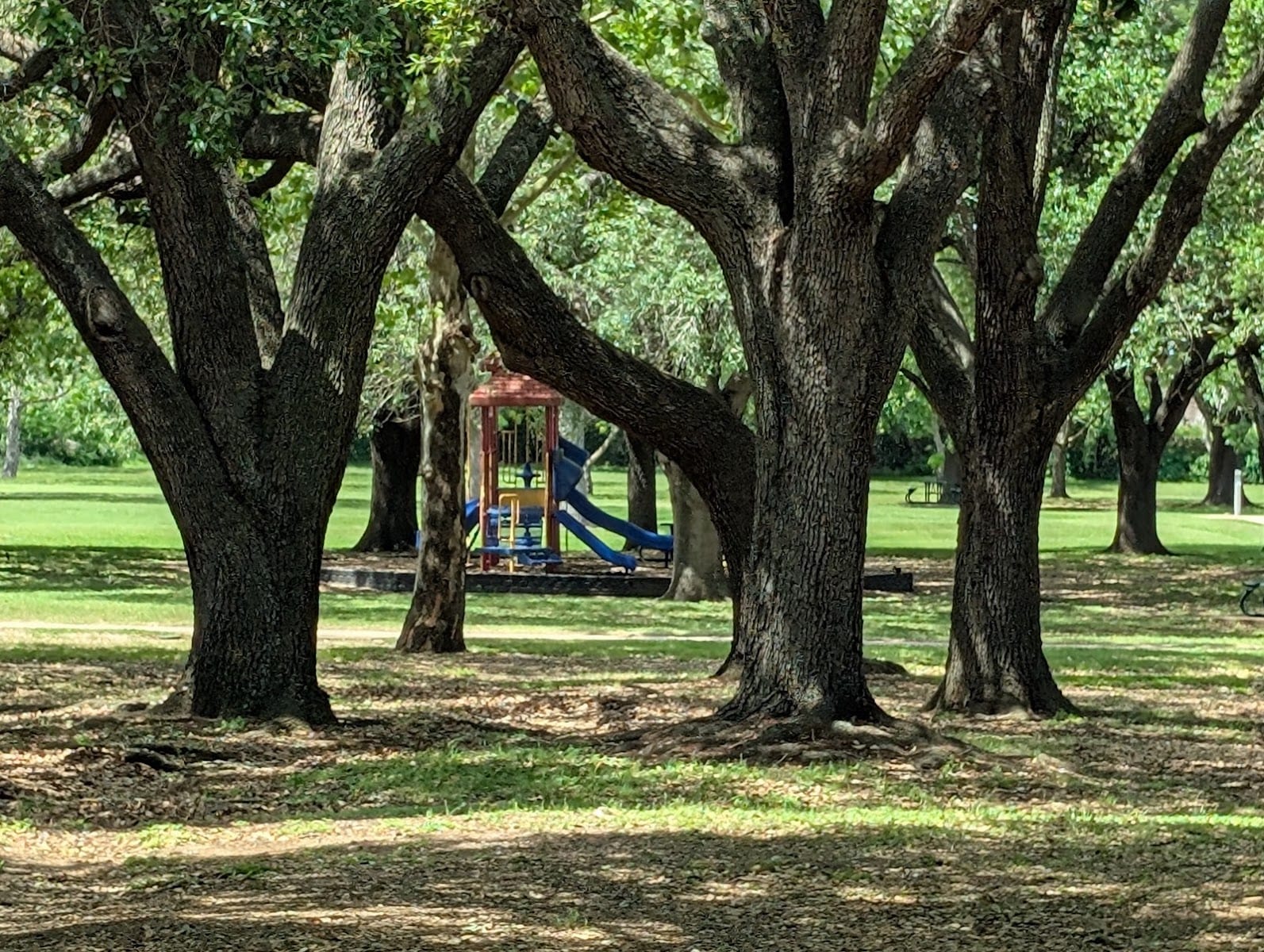 Playground, photo 3