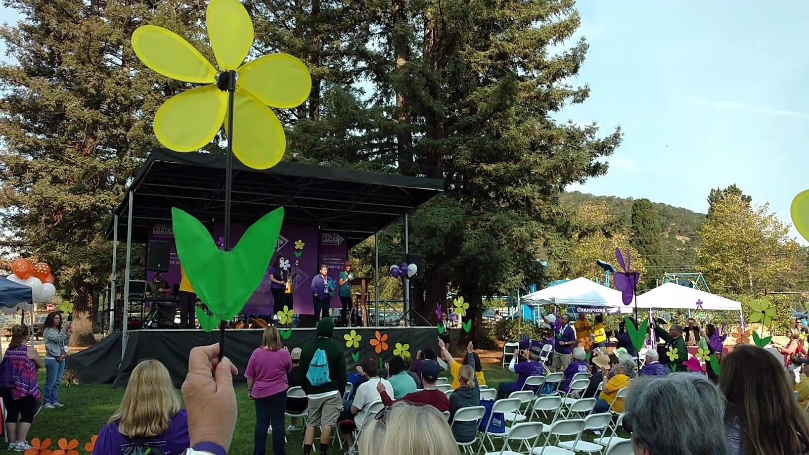 Yountville Park, photo 3