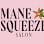 Mane Squeeze Salon