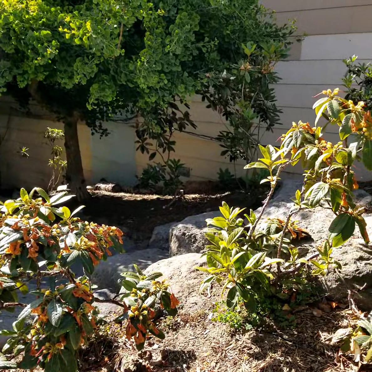 Hyde & Vallejo Mini Park, photo 2
