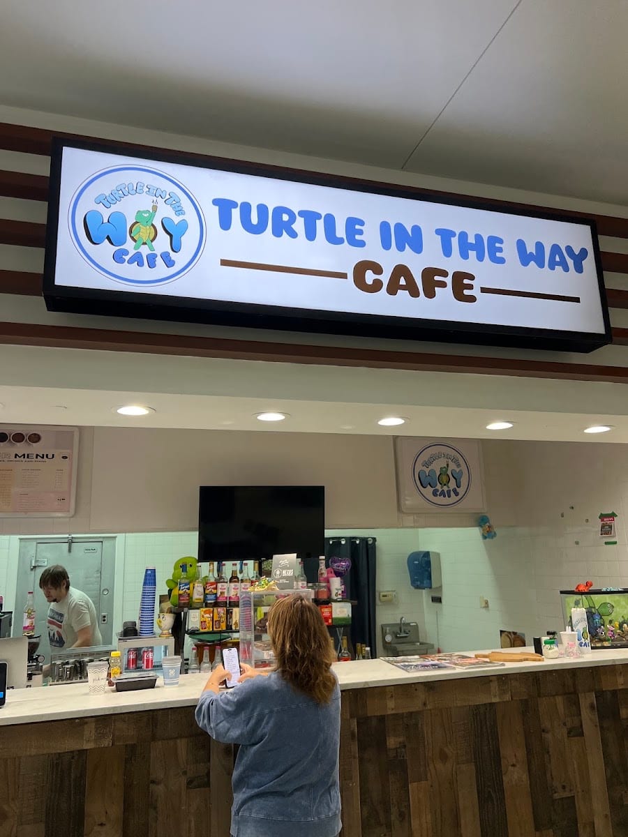 Turtle in the Way Cafe