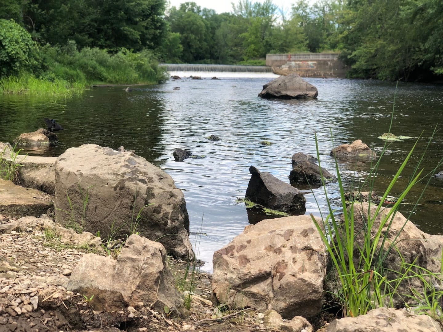 Wagner Drive Waterfall, photo 3
