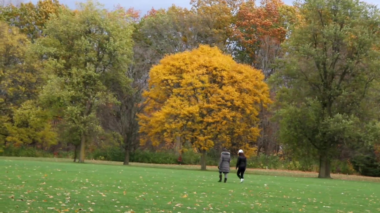 Sunnybrook Park, photo 2