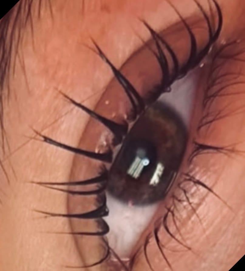 Asya's Lash Bar, photo 3