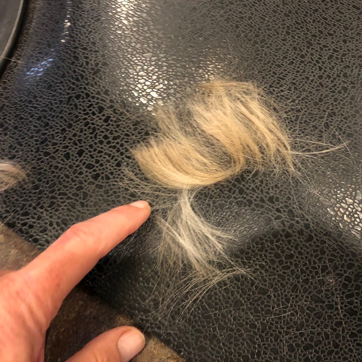 Liz's Hair Spa & Waxing, photo 2