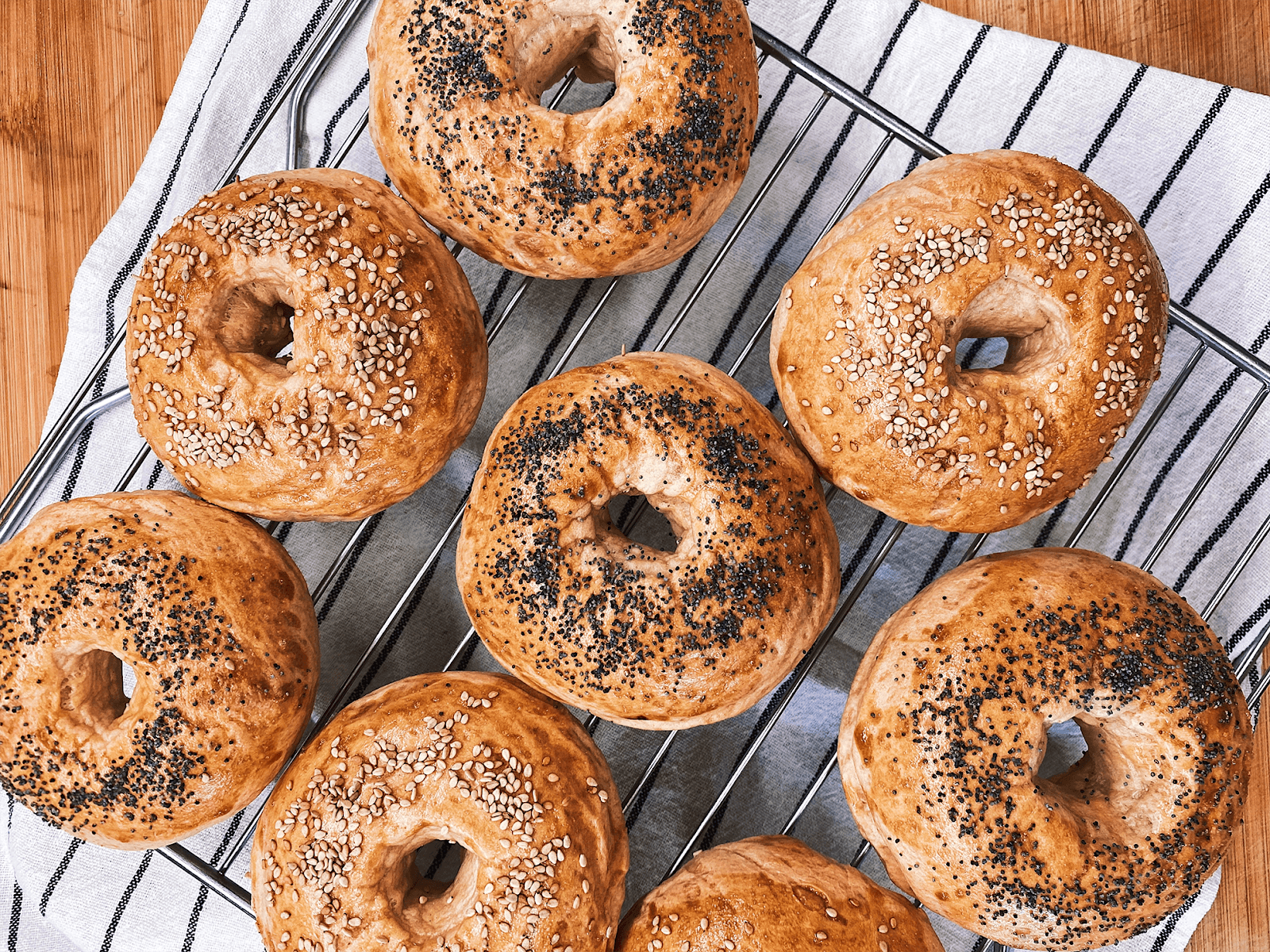 Buddy's Bagels Tamiami