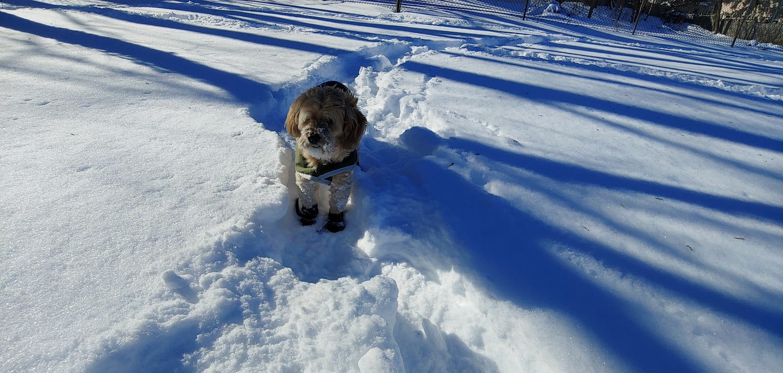 Farmington Park, photo 3