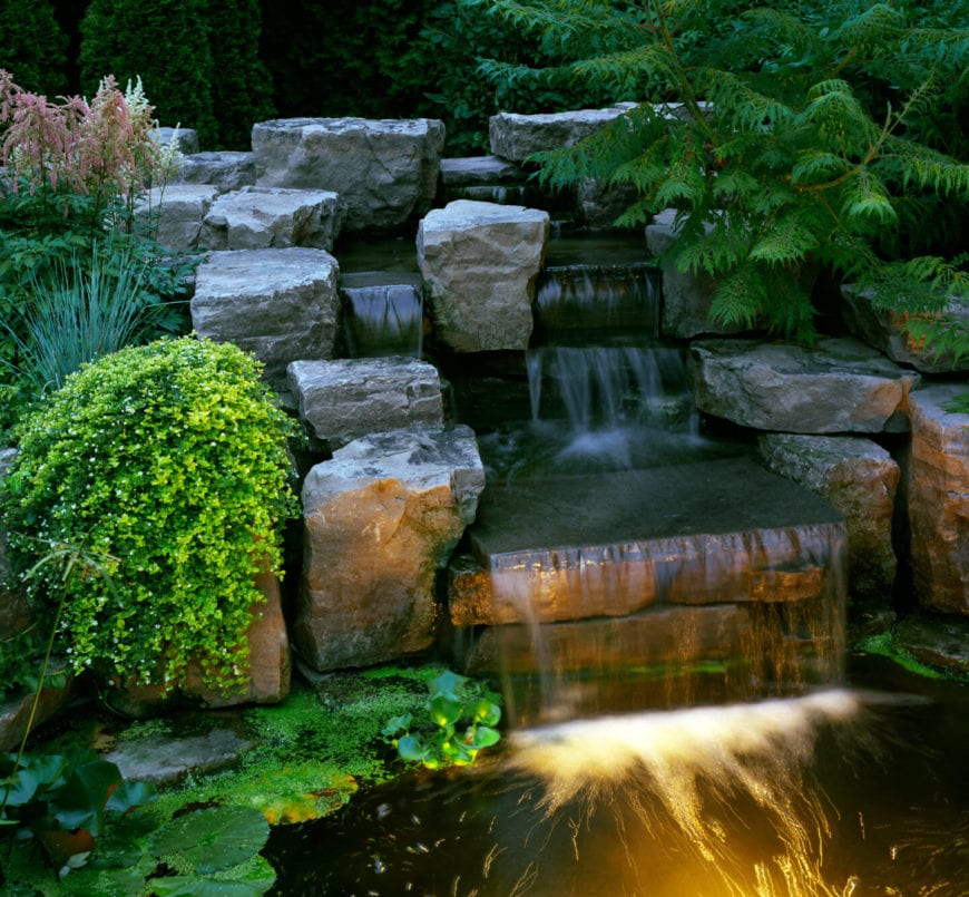 KOI & WATER GARDENS