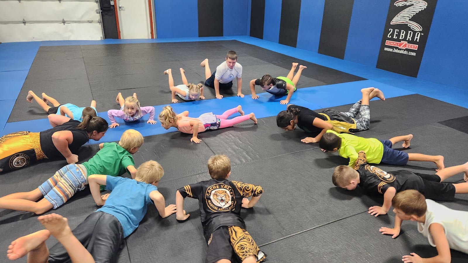 Cache Valley Martial Arts and Fitness, photo 2