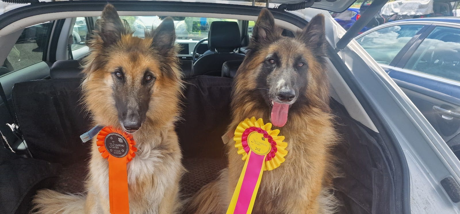 Little Revel End Dog Training and Business Centre